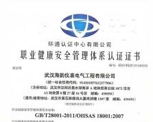 職業健康安全管理體系認證